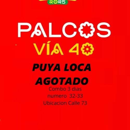 Boleta Palco Puya Loca